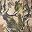 Woods Camo