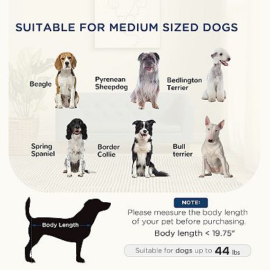 Raised Dog Sofa, Elevated Pet Sofa For Small Medium Dogs