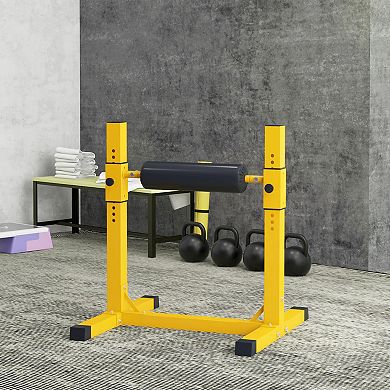 Soozier Bulgarian Split Squat Stand, 12-Level Leg Training Machine