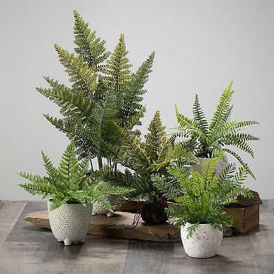 Haven Living 11-in. Artificial Fern Bush