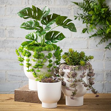 Haven Living Artificial Draping Succulent Vase Collars Set of 2