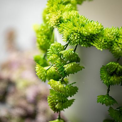 Haven Living Artificial Draping Succulent Vase Collars Set of 2