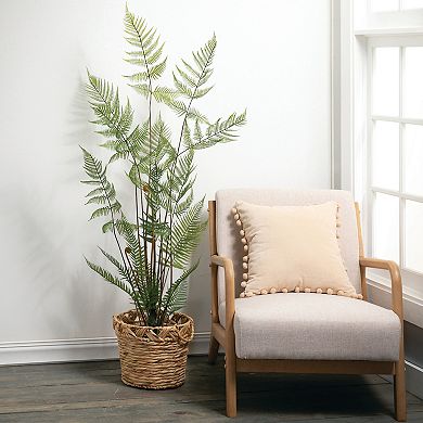 Haven Living Artificial 60" High Potted Fiddlehead Fern, Green