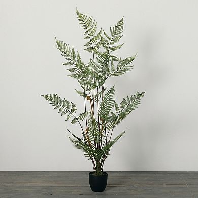 Haven Living Artificial 60" High Potted Fiddlehead Fern, Green