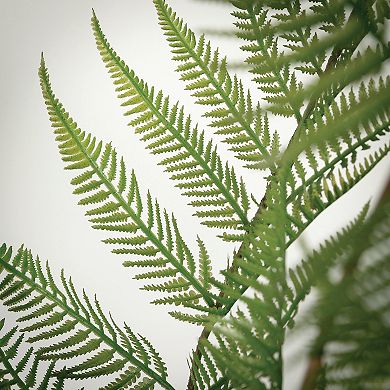 Haven Living Artificial 60" High Potted Fiddlehead Fern, Green