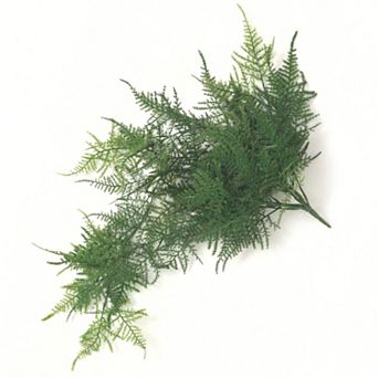 Haven Living Artificial 33" Large Plumosa Hanging Bush
