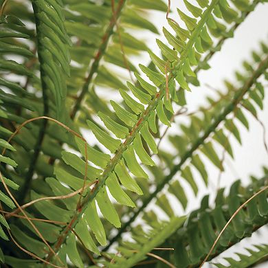 Haven Living Artificial 16" Rustic Potted Fern Bush, Green