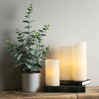 Haven Living Artificial 20.5" Potted Eucalyptus Bush, Green