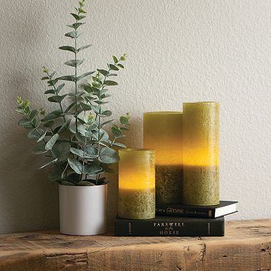 Haven Living Artificial 20.5" Potted Eucalyptus Bush, Green