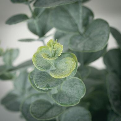 Haven Living Artificial 20.5" Potted Eucalyptus Bush, Green