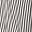 Gray Stripe