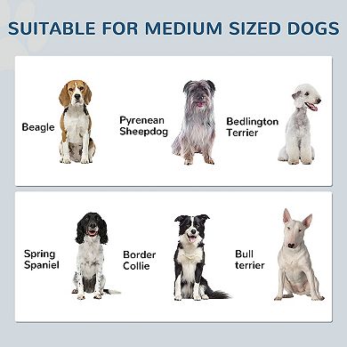 PawHut Dog Feeding Station w/ Raised Dog Bowls, Adjustable Panel