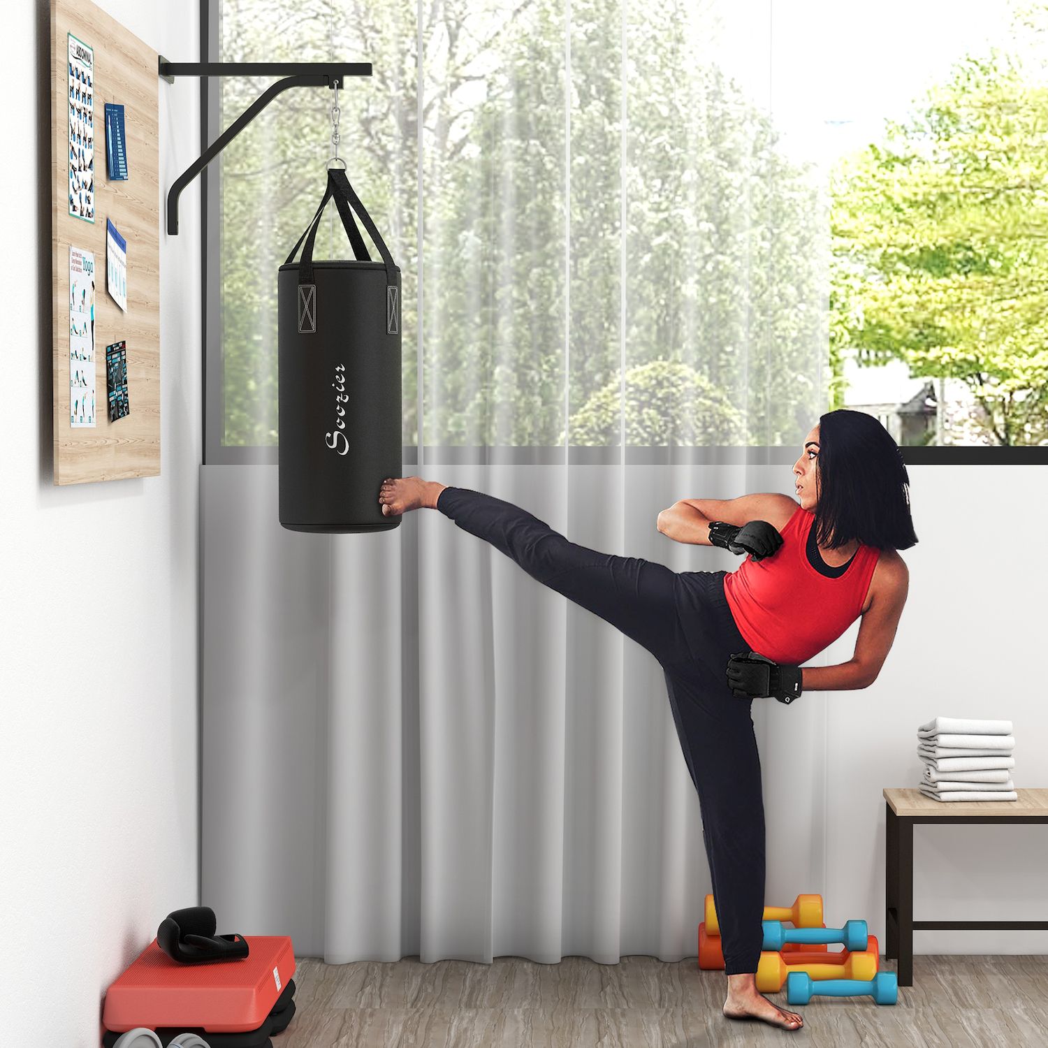 BeneLabel 24 Heavy Bag Wall Mount With Sri Lanka - View #5