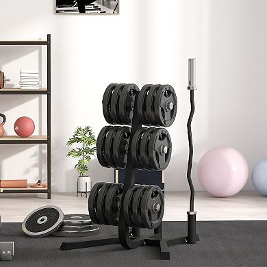 Soozier 2inch Weight Plate Rack with Bar Holders, 660 lbs. Capacity