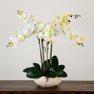 nearly natural 23 in. Artificial Phalaenopsis Orchid Arrangement in Ceramic Planter