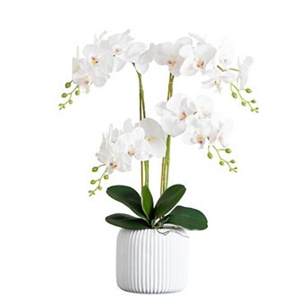 nearly natural Artificial Phalaenopsis Orchid Ceramic Vase Table Decor