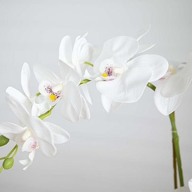 nearly natural Artificial Phalaenopsis Orchid Ceramic Vase Table Decor