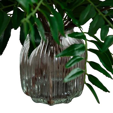 nearly natural 19-in. Palmate Fern Arrangement