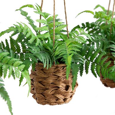 nearly natural 10-in. UV Resistant Indoor / Outdoor Artificial Boston Fern in Hanging Wicker Basket 3-piece Set