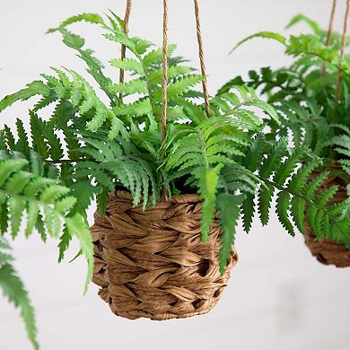 nearly natural 10-in. UV Resistant Indoor / Outdoor Artificial Boston Fern in Hanging Wicker Basket 3-piece Set