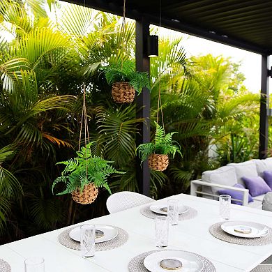 nearly natural 10-in. UV Resistant Indoor / Outdoor Artificial Boston Fern in Hanging Wicker Basket 3-piece Set