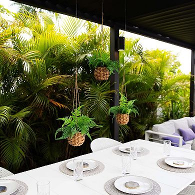 nearly natural 10-in. UV Resistant Indoor / Outdoor Artificial Boston Fern in Hanging Wicker Basket 3-piece Set