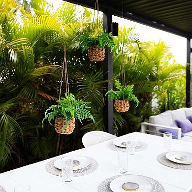 nearly natural 10-in. UV Resistant Indoor / Outdoor Artificial Boston Fern in Hanging Wicker Basket 3-piece Set