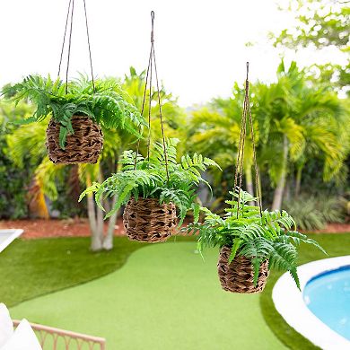nearly natural 10-in. UV Resistant Indoor / Outdoor Artificial Boston Fern in Hanging Wicker Basket 3-piece Set