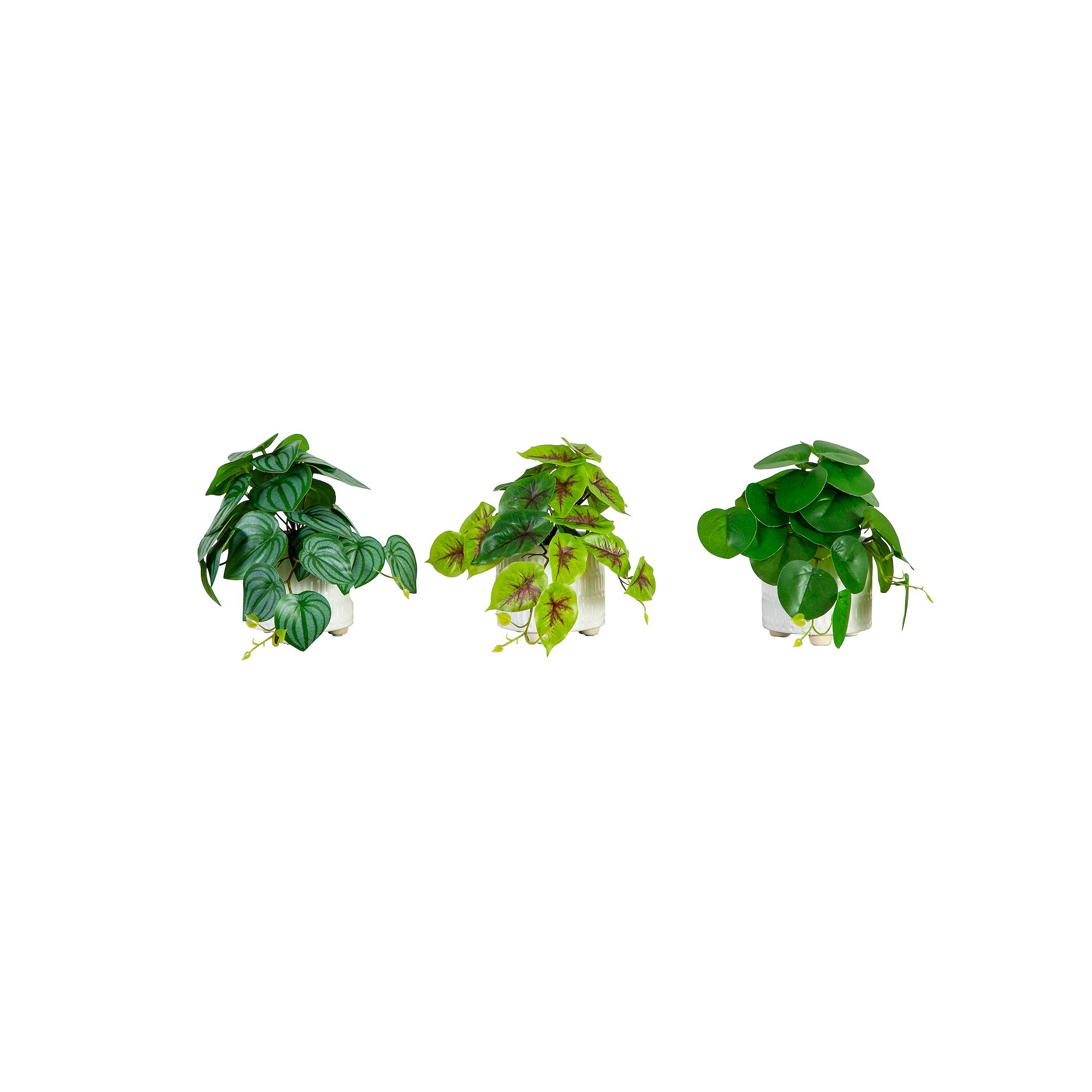 nearly natural 8in. Artificial Mixed Greens in Ceramic Planter Table Decor 