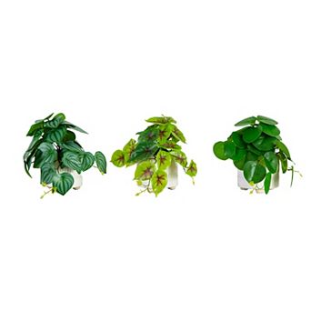 nearly natural 8 in Artificial Mixed Greens in Ceramic Planter Table Decor 3 pc Set