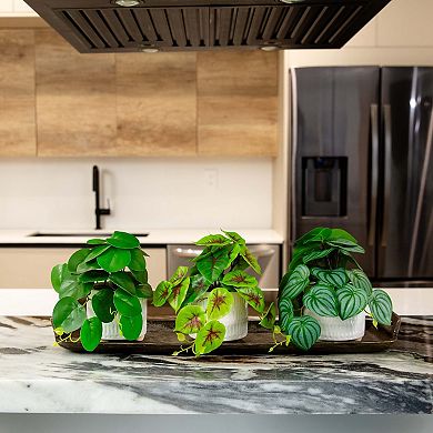 nearly natural 8in. Artificial Mixed Greens in Ceramic Planter Table Decor 3-piece Set