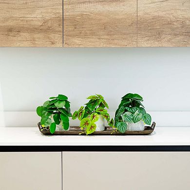 nearly natural 8in. Artificial Mixed Greens in Ceramic Planter Table Decor 3-piece Set