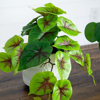 nearly natural 8in. Artificial Mixed Greens in Ceramic Planter Table Decor 3-piece Set