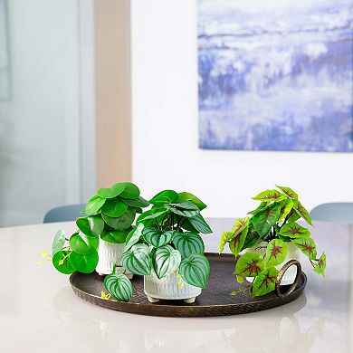 nearly natural 8in. Artificial Mixed Greens in Ceramic Planter Table Decor 3-piece Set