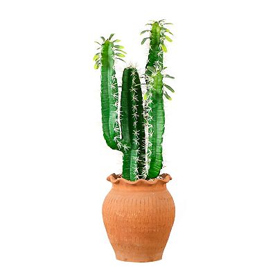 nearly natural 28-in. Artificial Cactus in Terracotta Planter Floor Decor