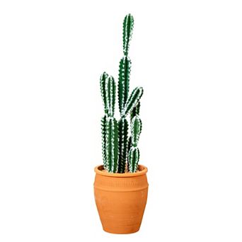 nearly natural 41 in Artificial Cactus in Terracotta Planter Floor Decor