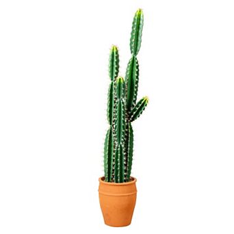 nearly natural 5-ft. Artificial Cactus in Terracotta Planter Floor Decor