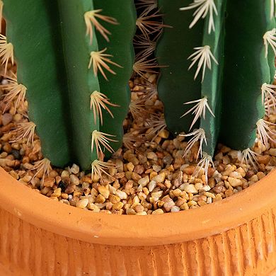 nearly natural 5-ft. Artificial Cactus in Terracotta Planter Floor Decor