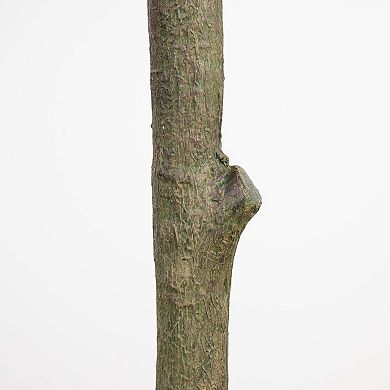 nearly natural 13-ft. Artificial Olive Tree