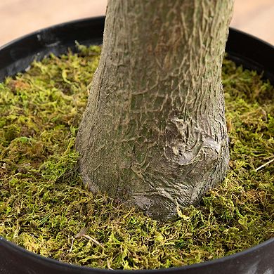 nearly natural 13-ft. Artificial Olive Tree