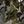 Woods Camo