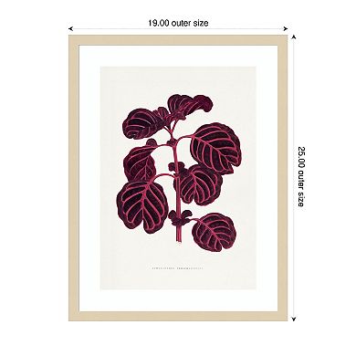 Pink Achyranthes Leaf Illustration by Pictufy Wood Framed Wall Art Print
