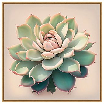 Echeveria Pulidinis by Incado Framed Canvas Wall Art Print