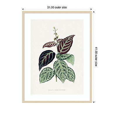 Green Bignonia Leaf Illustration by Pictufy Wood Framed Wall Art Print
