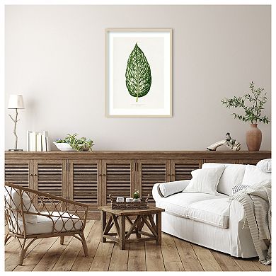 Dieffenbachia Leaf Illustration by Pictufy Wood Framed Wall Art Print