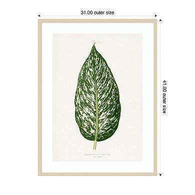 Dieffenbachia Leaf Illustration by Pictufy Wood Framed Wall Art Print