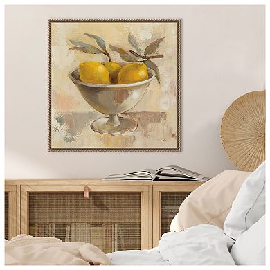 Fruits in Old Bowl I by Silvia Vassileva Framed Canvas Wall Art Print