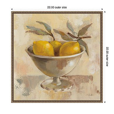 Fruits in Old Bowl I by Silvia Vassileva Framed Canvas Wall Art Print