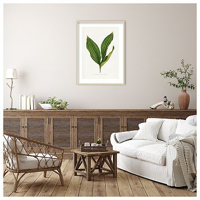 Lily of the Valley Leaf Illustration by Pictufy Wood Framed Wall Art Print