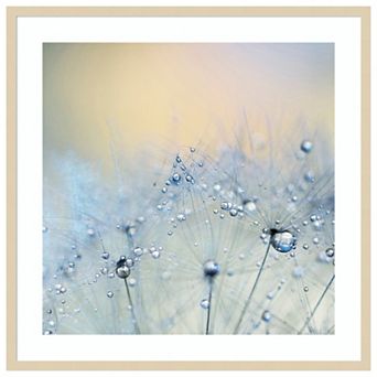 Ice blue by Ingrid Beddoes Wood Framed Wall Art Print